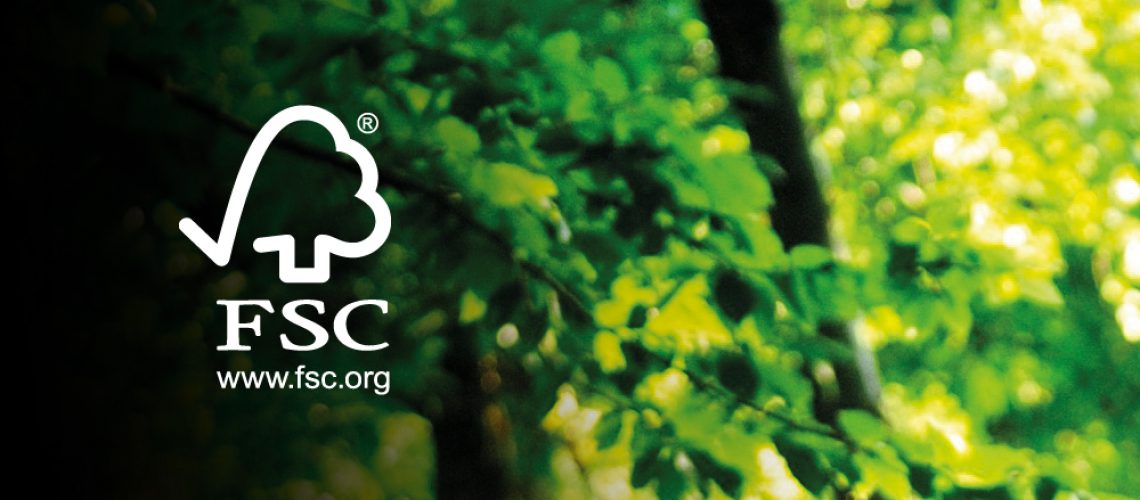 blog_fsc2